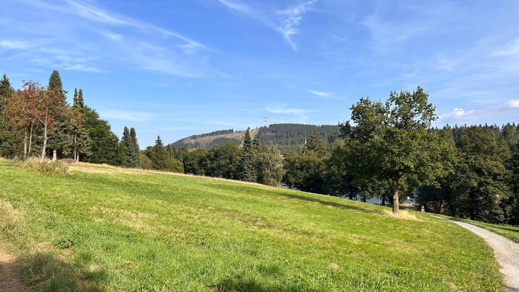 Ferienapartment Hahnenklee Apart 1 Гослар Экстерьер фото